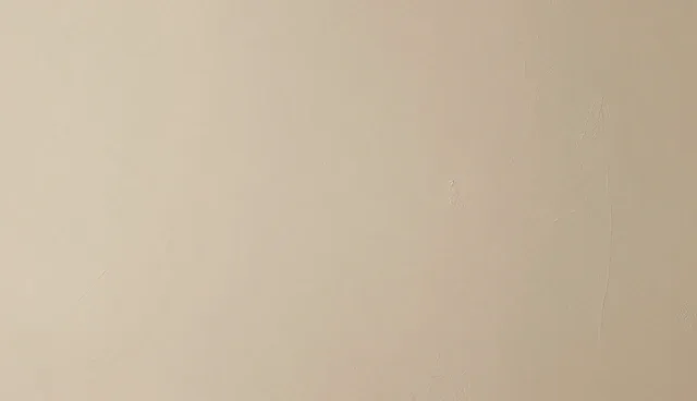 系统维护在业务发展中的关键作用与挑战